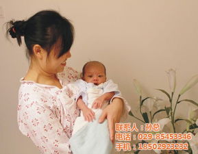 高新区月嫂保姆 月嫂保姆 月嫂保姆公司 优质商家