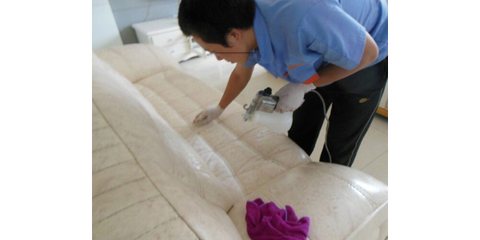 大连翼家家政服务 专业家政服务，让生活更美好