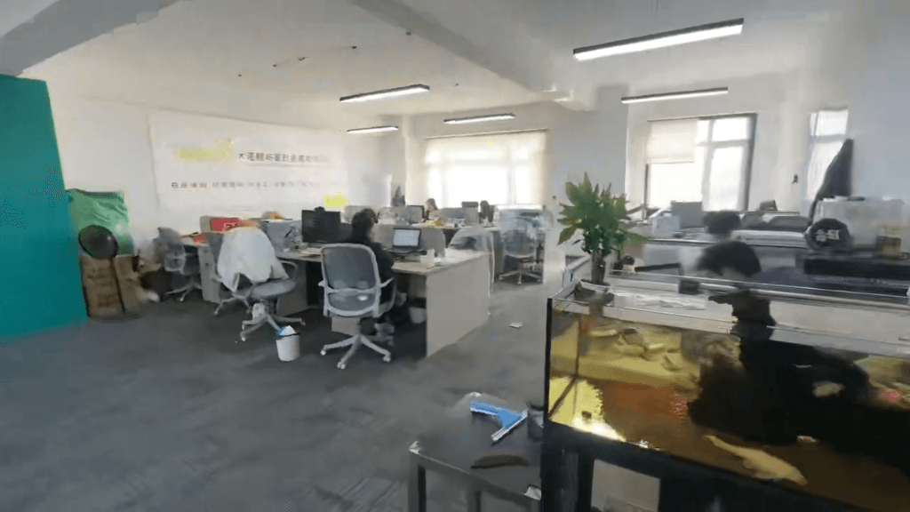 专业服务，家的港湾 大连鲸屿家政服务引领品质生活新风尚